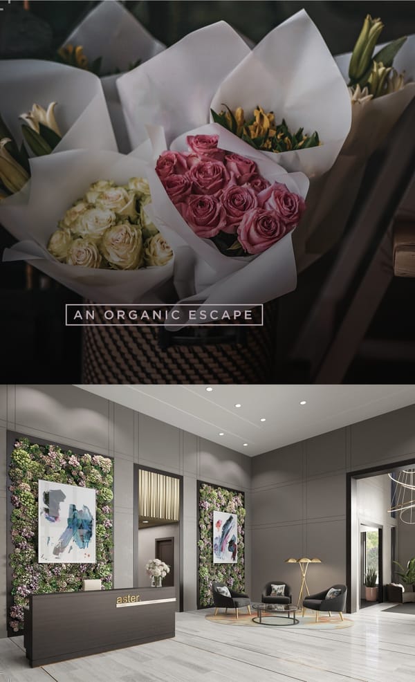 Aster | Toll Brothers Interactive Presentation - Page 4