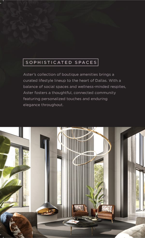 Aster | Toll Brothers Interactive Presentation - Page 8